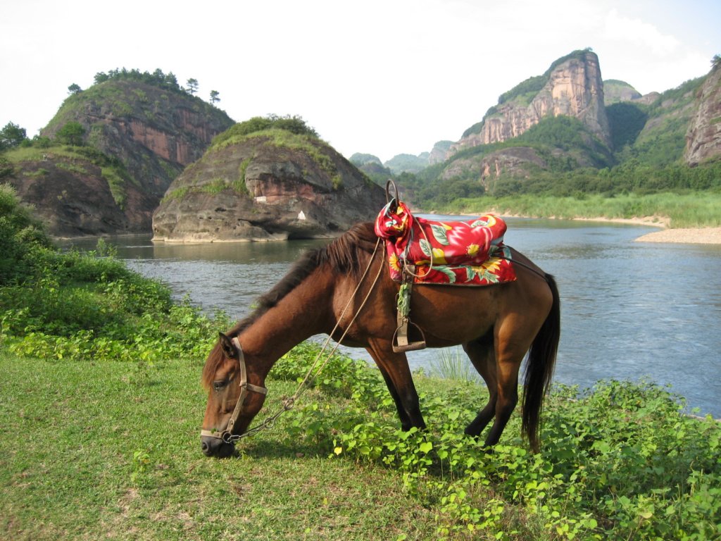 photo23.jpg