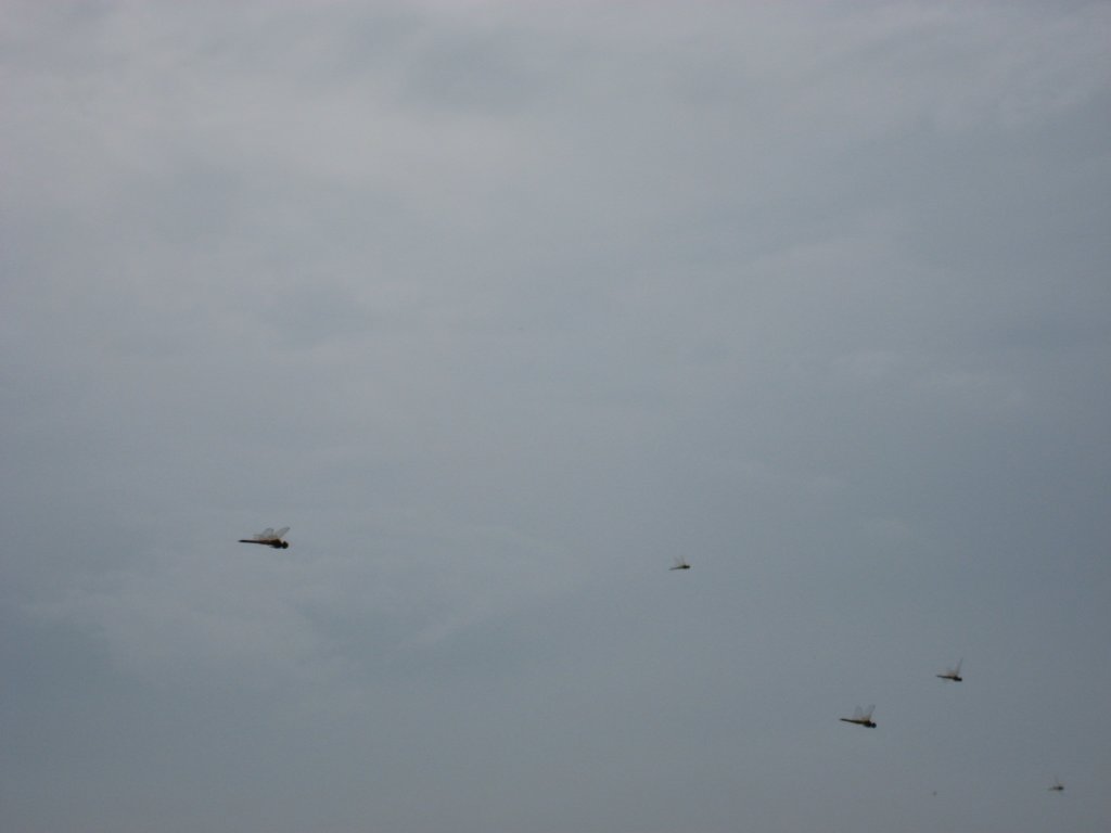 photo28.jpg