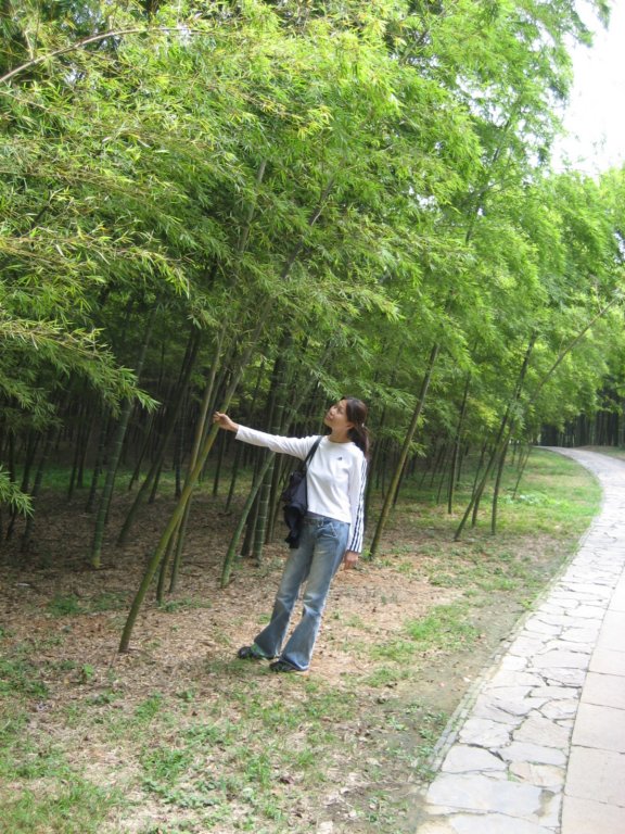 photo36.jpg