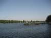 photo13_small.jpg