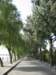 photo5_small.jpg