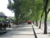 photo8_small.jpg