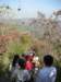 photo10_small.jpg