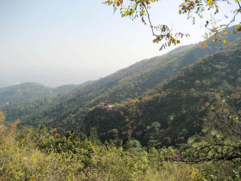 photo3.jpg