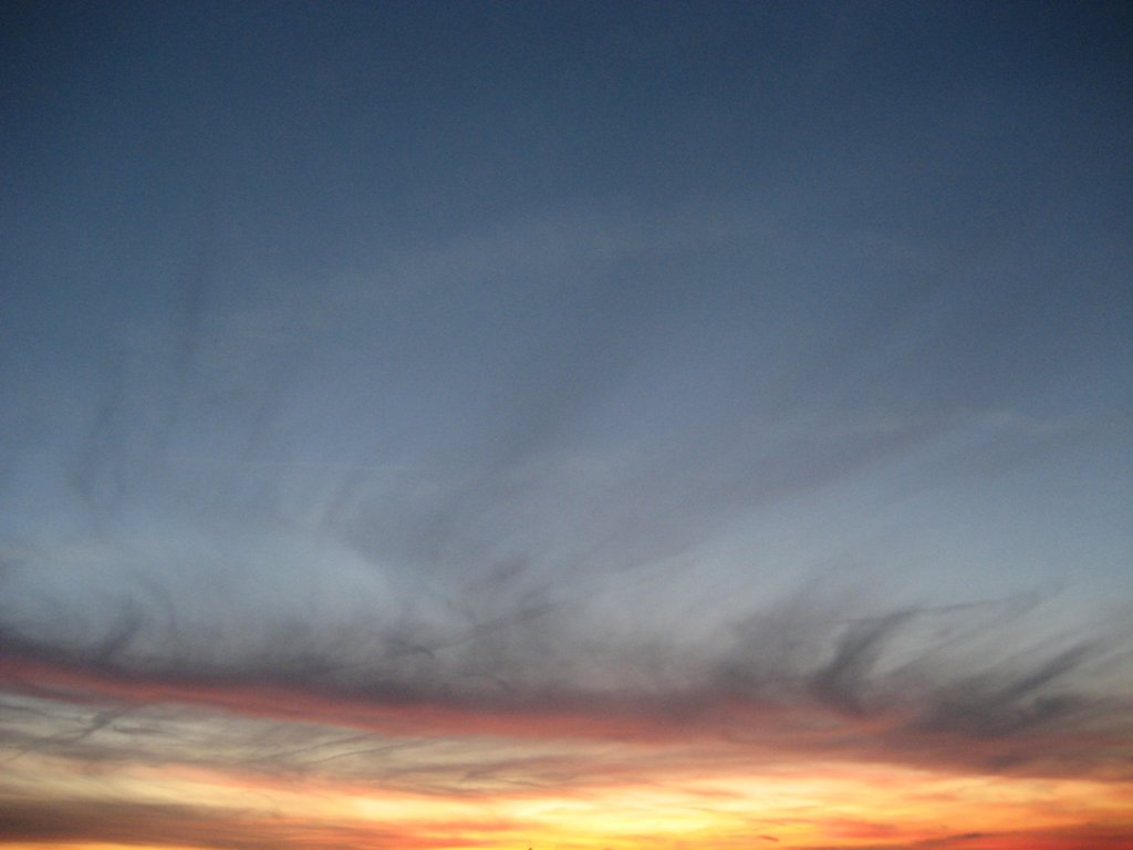 photo39.jpg