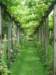 bercyvillage29_small.jpg