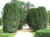 jardindesplantes10_small.jpg