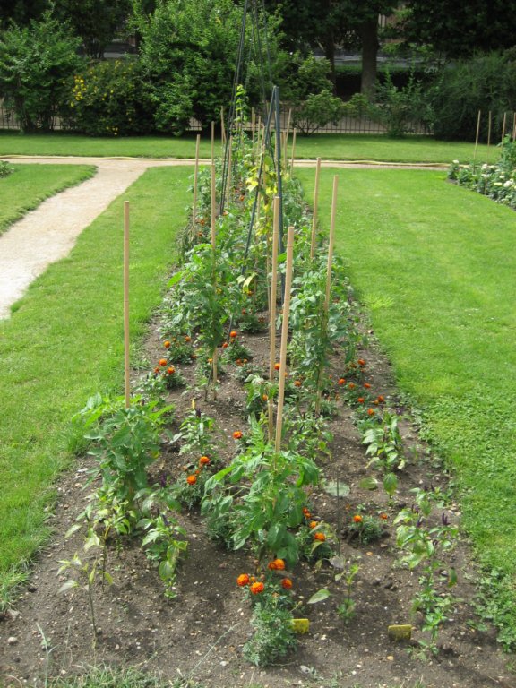 jardindesplantes11.jpg