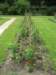 jardindesplantes11_small.jpg