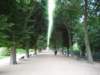 jardindesplantes15_small.jpg