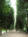 jardindesplantes16_small.jpg