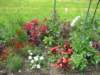 jardindesplantes18_small.jpg