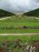 jardindesplantes19_small.jpg