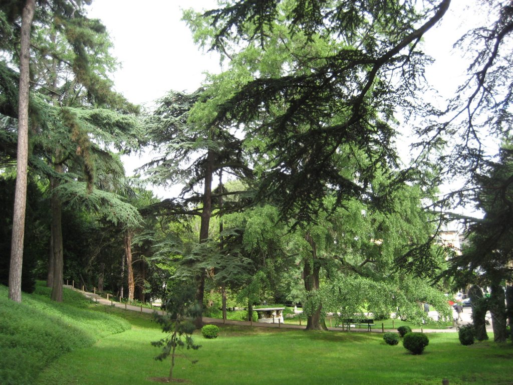 jardindesplantes24.jpg