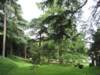 jardindesplantes24_small.jpg