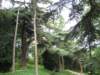 jardindesplantes25_small.jpg
