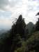 photo38_small.jpg