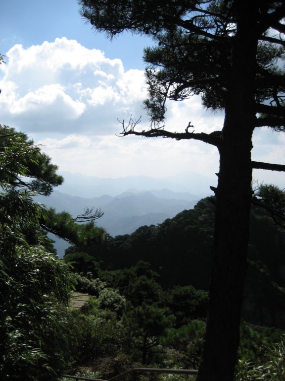 photo49.jpg