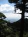photo49_small.jpg