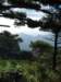 photo50_small.jpg