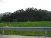 photo71_small.jpg
