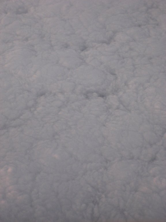 mu55312.jpg