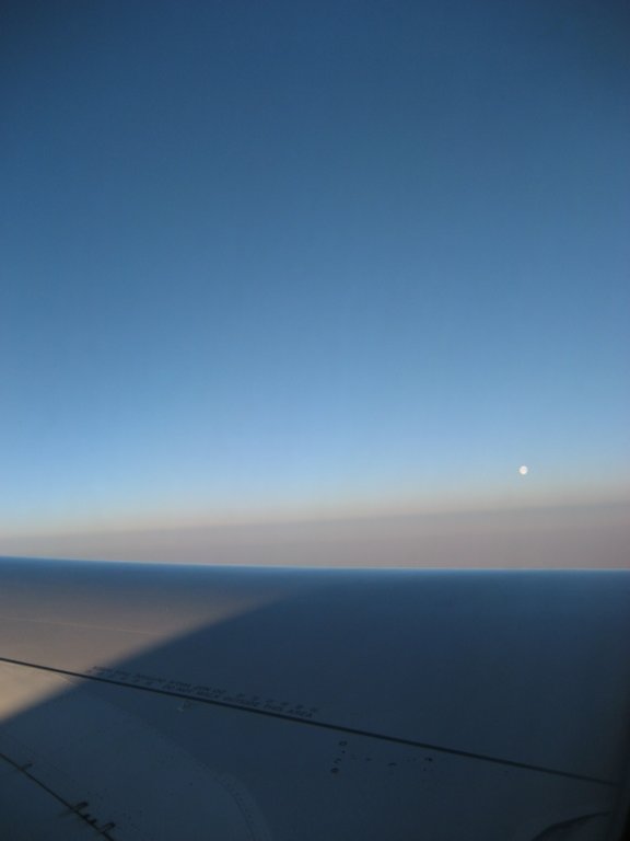 mu5536.jpg
