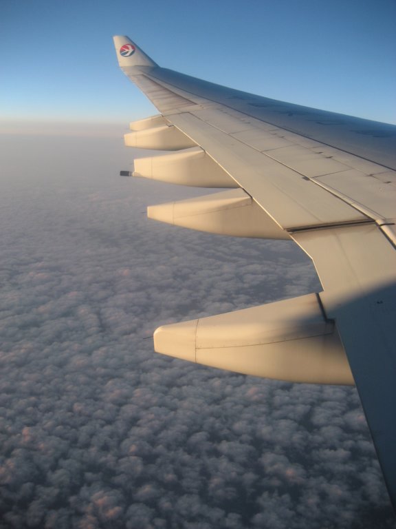 mu5539.jpg