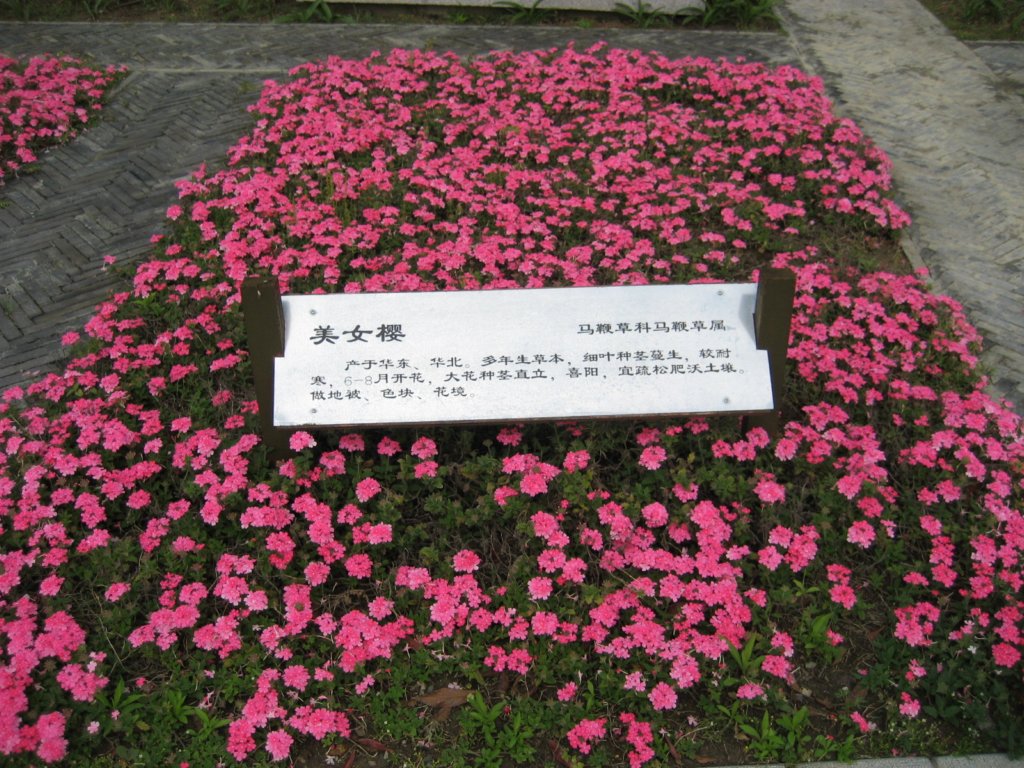 photo.jpg