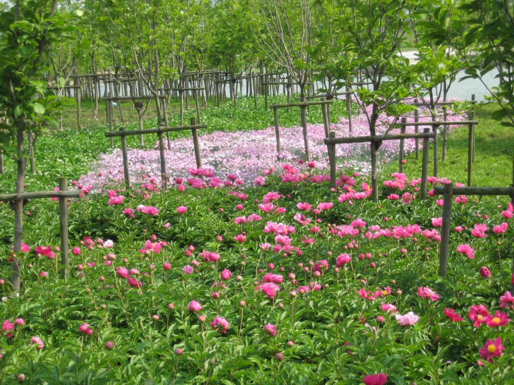 photo10.jpg