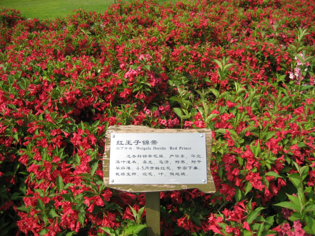 photo13.jpg