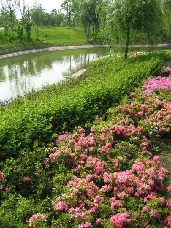 photo15.jpg