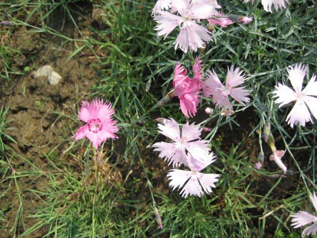 photo20.jpg