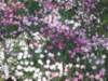 photo21_small.jpg