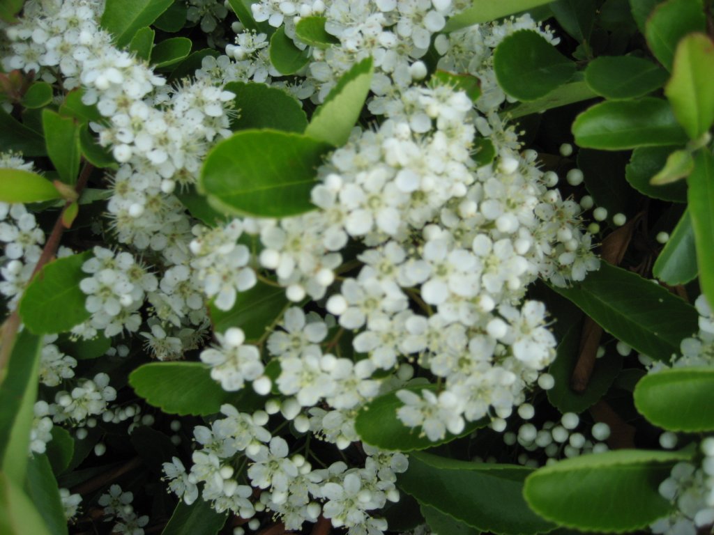 photo6.jpg