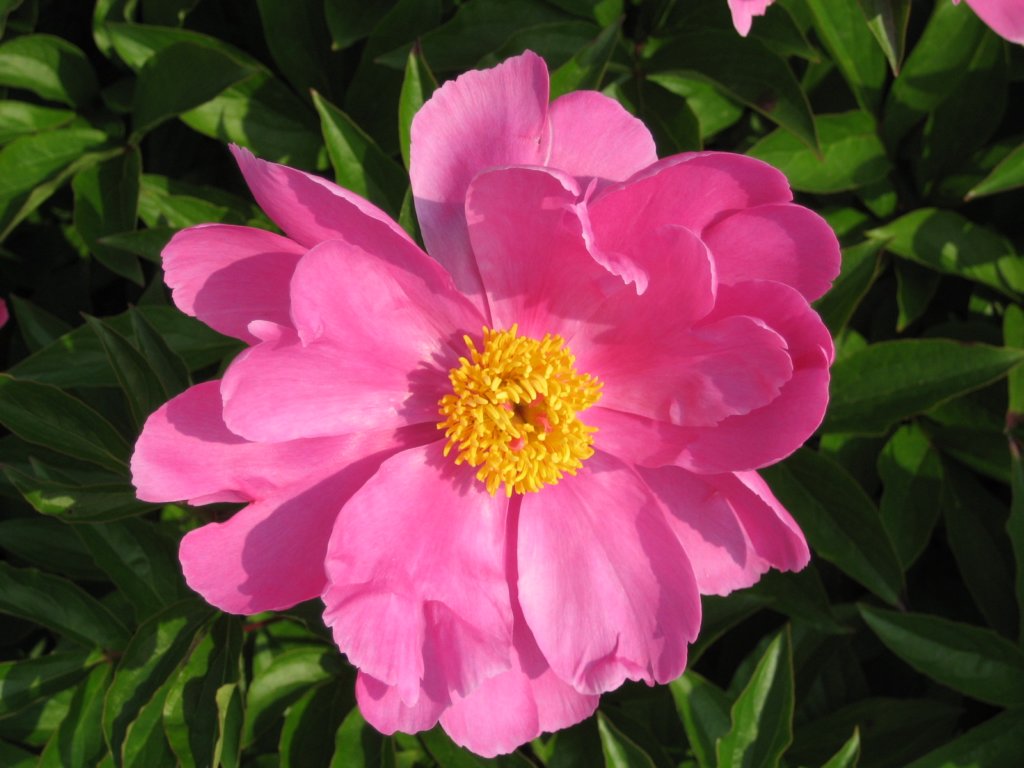 photo9.jpg