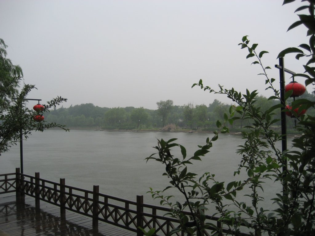 photo39.jpg