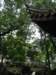 photo25_small.jpg