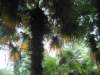 photo30_small.jpg