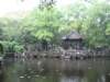 photo38_small.jpg