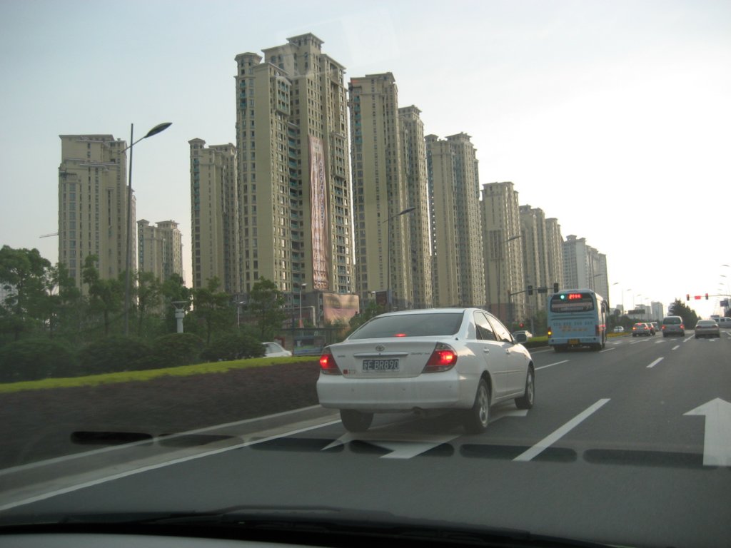 photo8.jpg