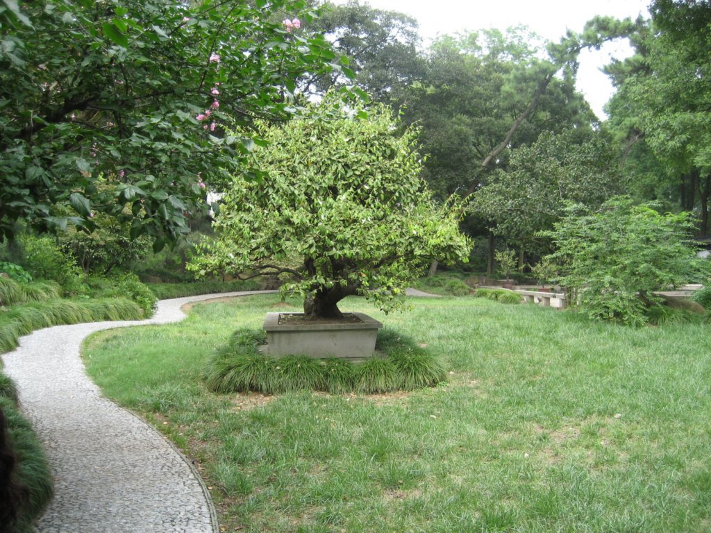 photo15.jpg