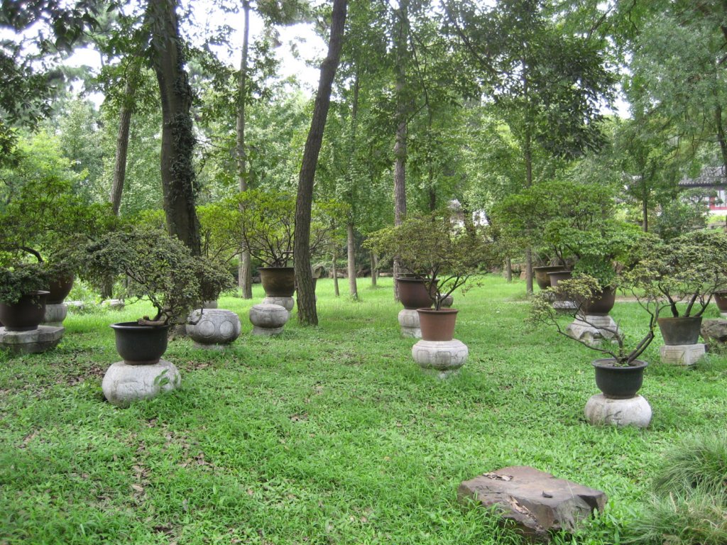 photo19.jpg
