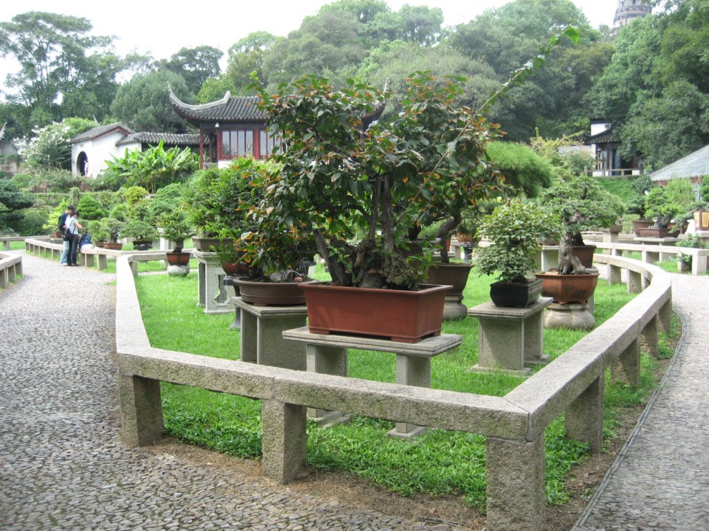 photo22.jpg