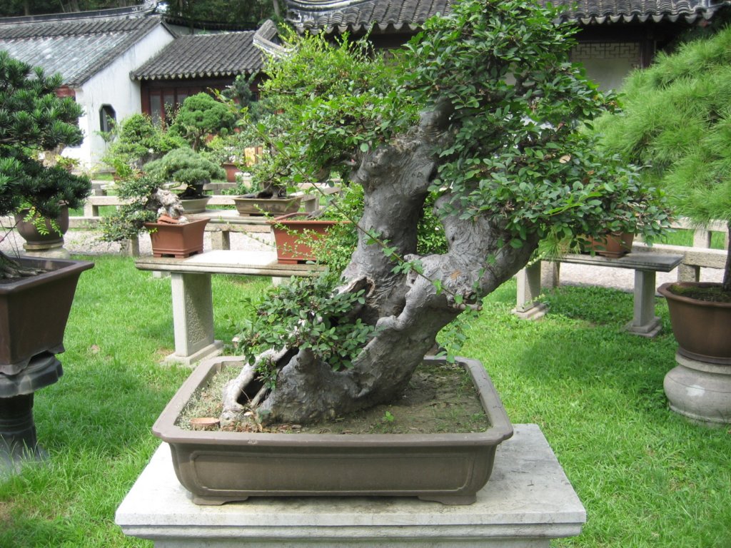 photo26.jpg