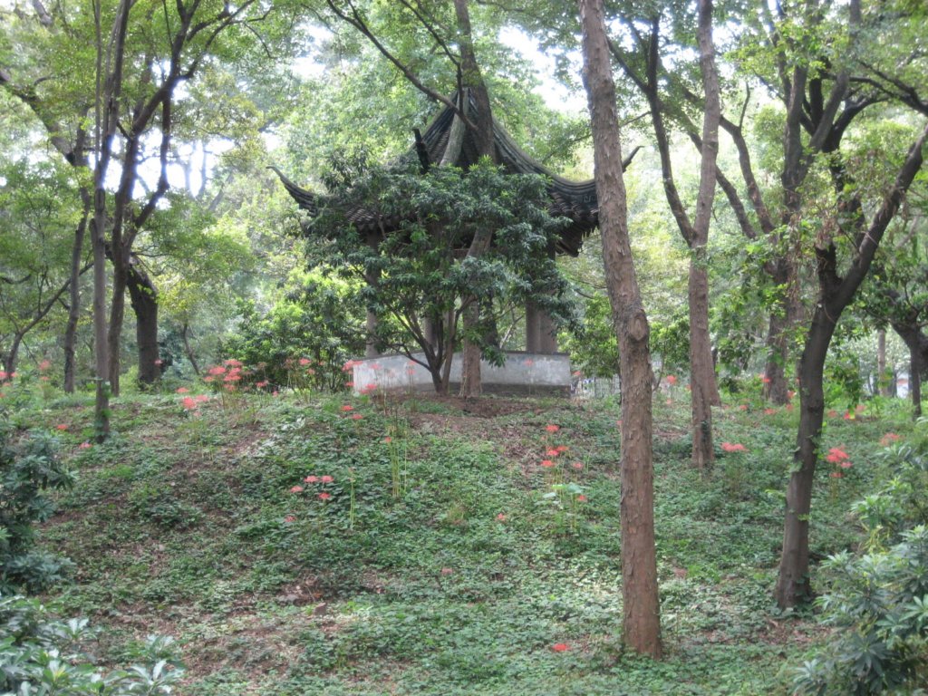 photo37.jpg