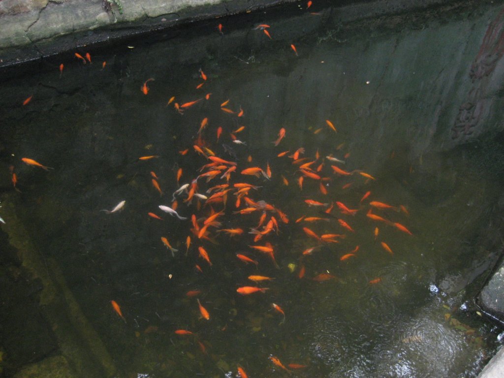 photo61.jpg