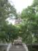 photo70_small.jpg