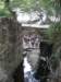 photo78_small.jpg