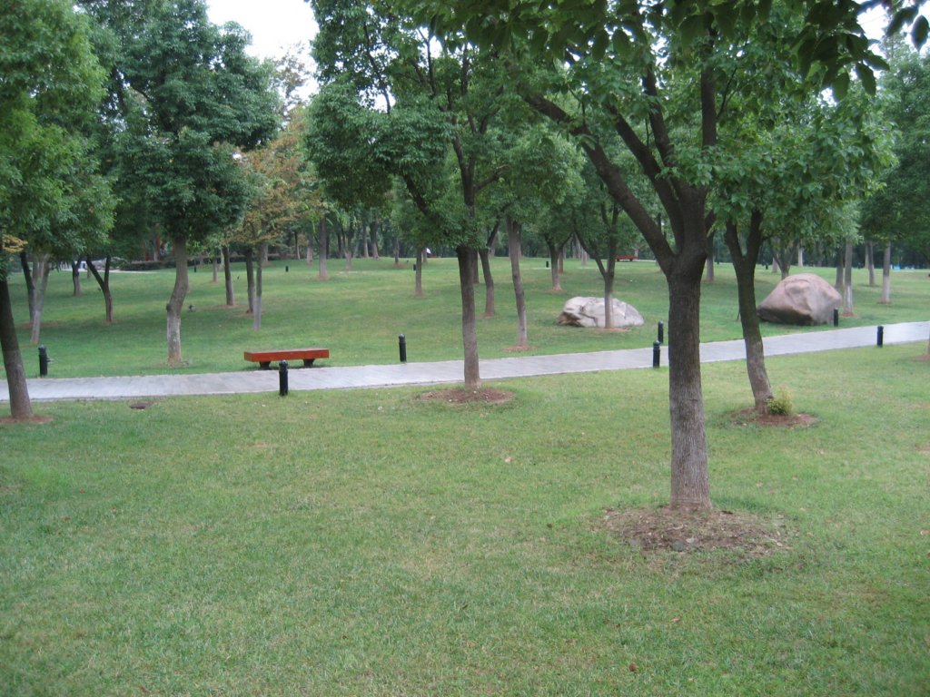 photo.jpg